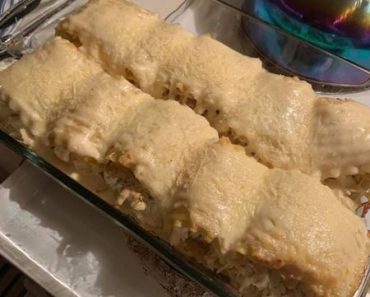 Chicken Alfredo Lasagna Rolls