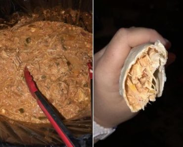 Easy Slow Cooker Chicken Tacos