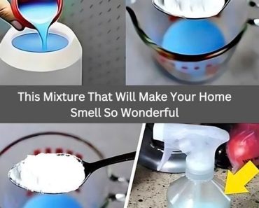 DIY Natural Air Freshener Recipe