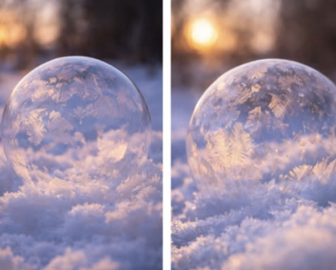 Frozen Bubbles Frozen Bubbles